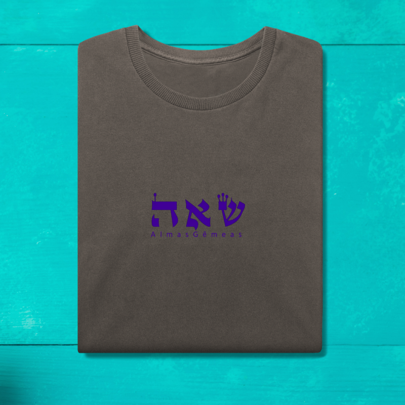 T-Shirt Estonada Cinza Almas Gêmeas